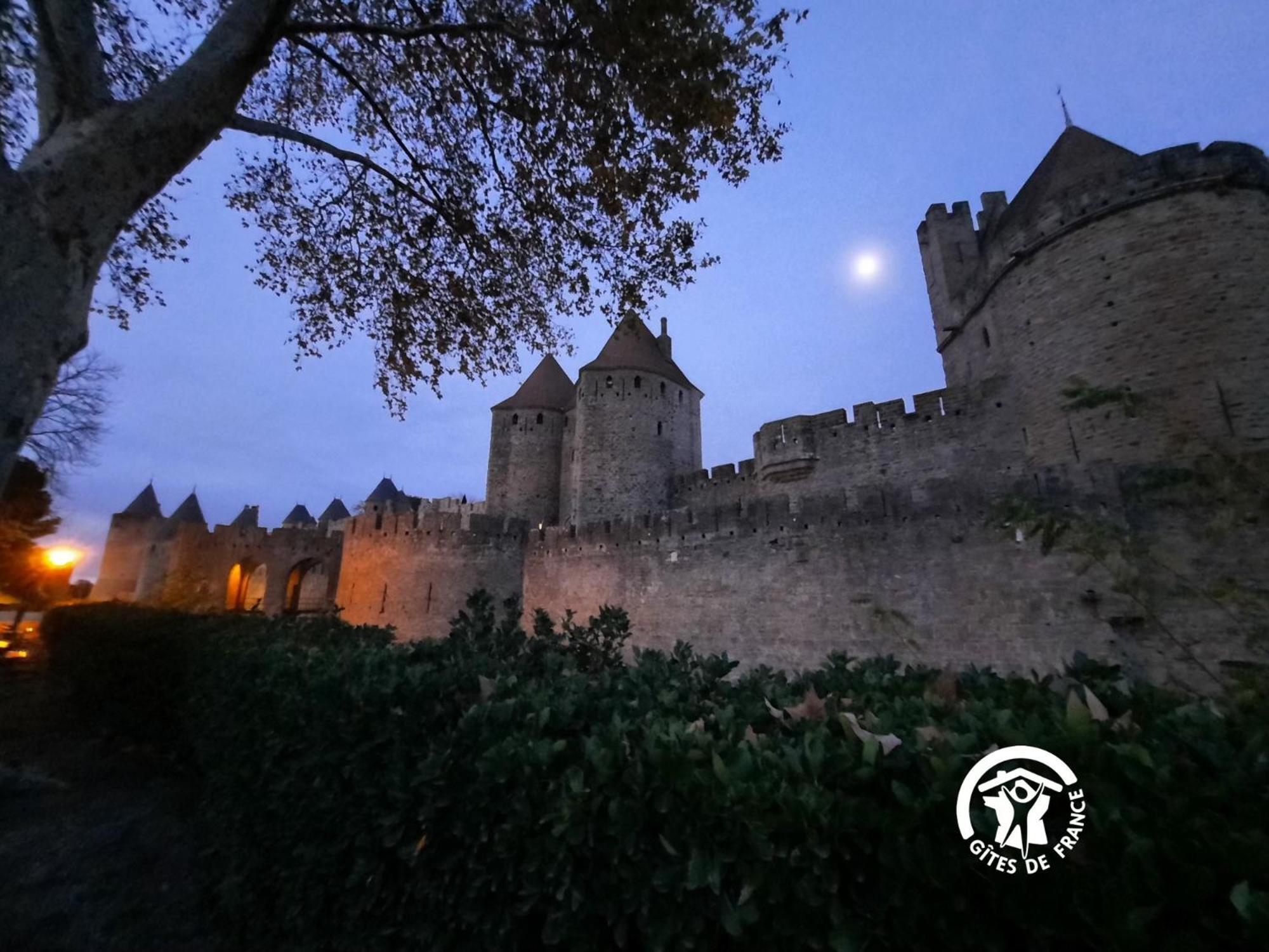 Loft Cocon Climatise - Imprenable Vue Sur Le Chateau Comtal Carcassonne Ngoại thất bức ảnh